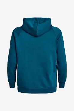Zizzi Huvtröja Annie L/S Hoodie Sweat